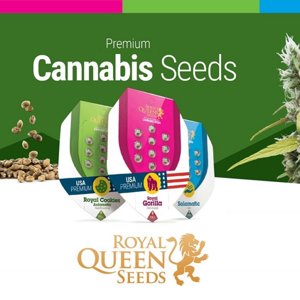 Epic Wholesale - Royal Queen Seeds