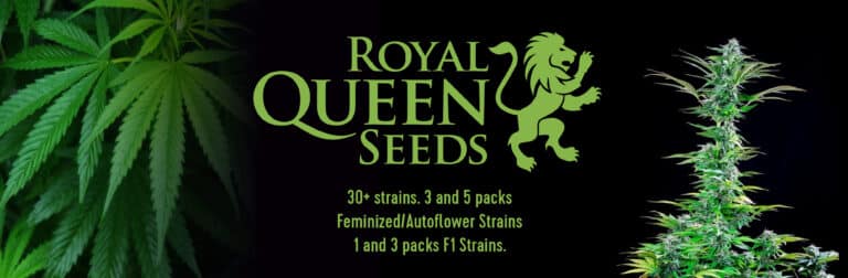 Seeds