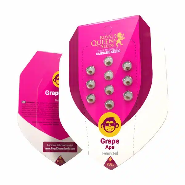 Epic Wholesale Seeds - Royal Queen