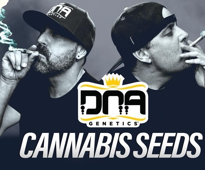 DNA Genetics Seeds