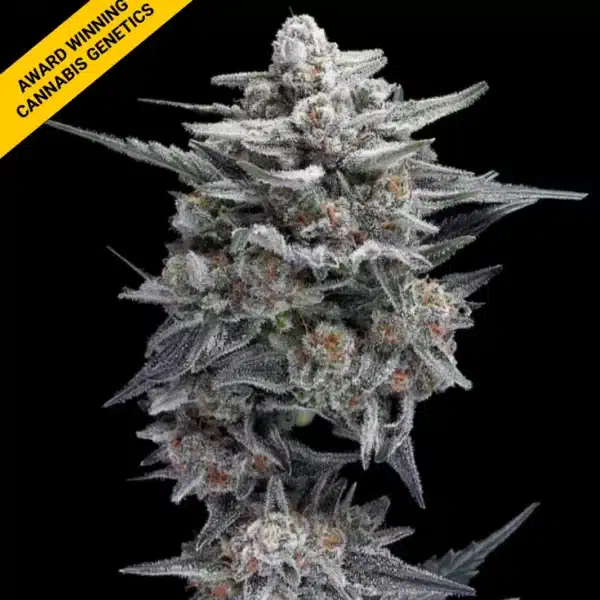 DNA GENETICS MICHAEL JORDAN