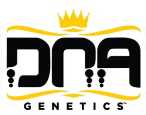 DNA GENETICS